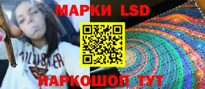 крисы Кунгур