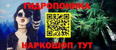 крисы Кунгур