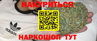 крисы Кунгур