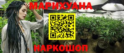 крисы Кунгур