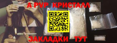 крисы Кунгур