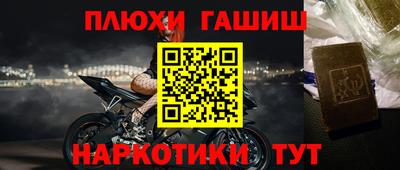 крисы Кунгур