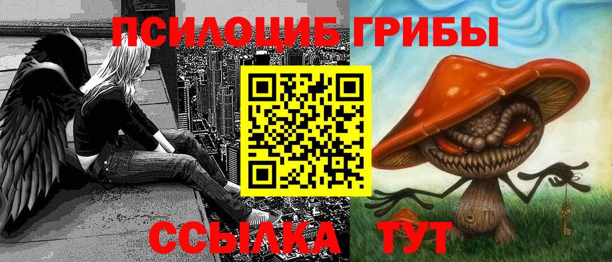 дарнет шоп  Галлюциногенные грибы Magic Shrooms  Иваново  Вход с VPN  Галлюциногенные грибы Psilocybine cubensis 