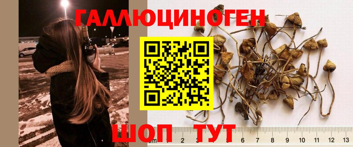 Псилоцибиновые грибы MAGIC MUSHROOMS Иваново